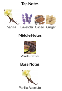 GODDESS – Impression of Goddess Burberry notes